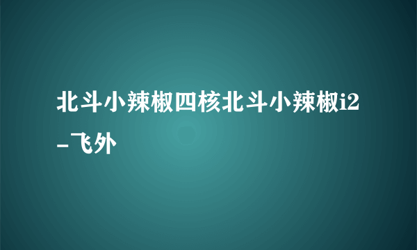 北斗小辣椒四核北斗小辣椒i2-飞外