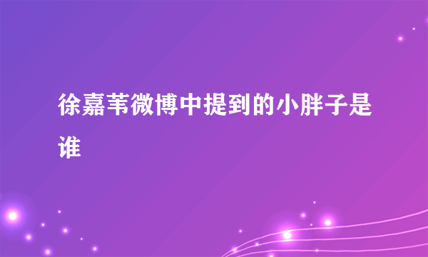 徐嘉苇微博中提到的小胖子是谁