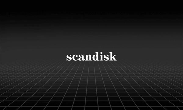 scandisk