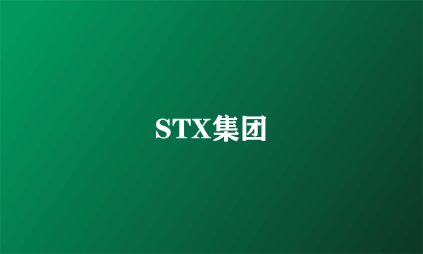 STX集团