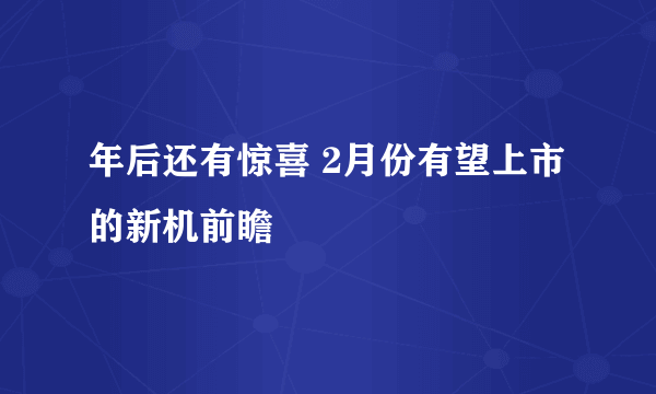 年后还有惊喜 2月份有望上市的新机前瞻