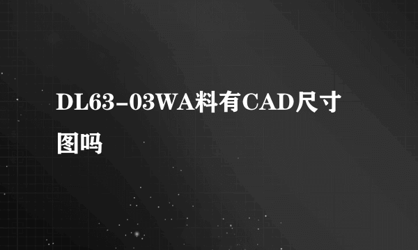 DL63-03WA料有CAD尺寸图吗