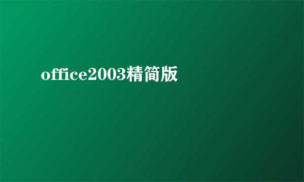 office2003精简版