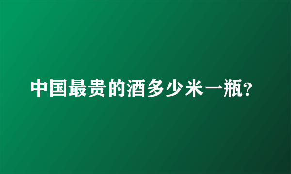 中国最贵的酒多少米一瓶？