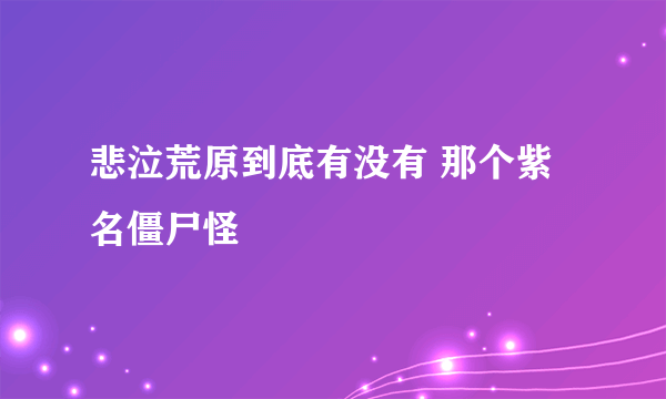 悲泣荒原到底有没有 那个紫名僵尸怪