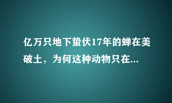 亿万只地下蛰伏17年的蝉在美破土，为何这种动物只在夏天出现？