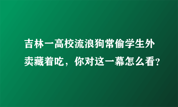 吉林一高校流浪狗常偷学生外卖藏着吃，你对这一幕怎么看？