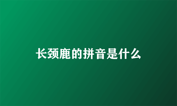 长颈鹿的拼音是什么