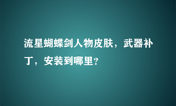 流星蝴蝶剑人物皮肤，武器补丁，安装到哪里？