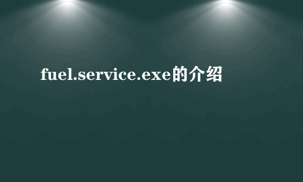 fuel.service.exe的介绍