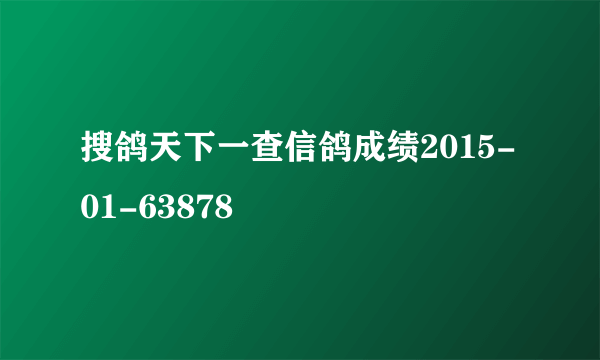 搜鸽天下一查信鸽成绩2015-01-63878