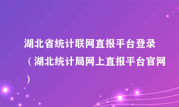 湖北省统计联网直报平台登录（湖北统计局网上直报平台官网）