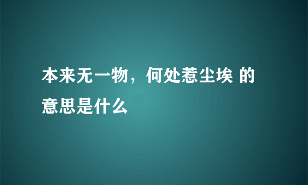 本来无一物，何处惹尘埃 的意思是什么