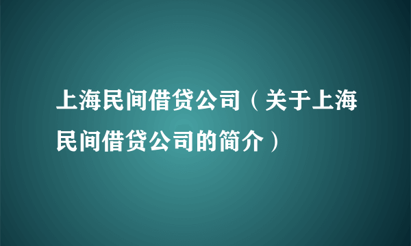 上海民间借贷公司（关于上海民间借贷公司的简介）