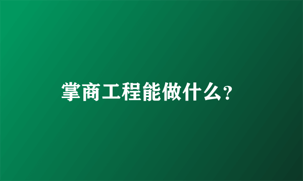 掌商工程能做什么？