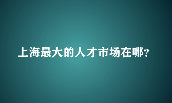 上海最大的人才市场在哪？