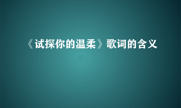 《试探你的温柔》歌词的含义