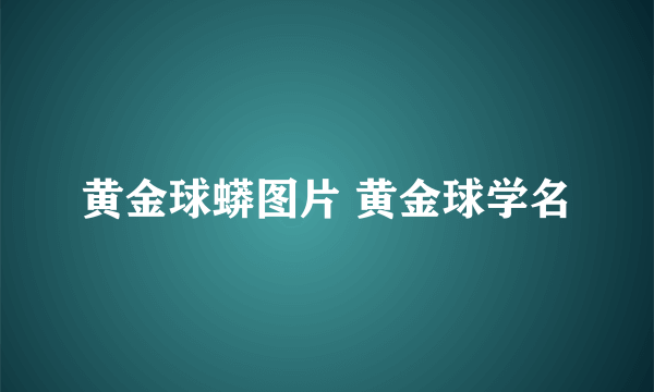 黄金球蟒图片 黄金球学名