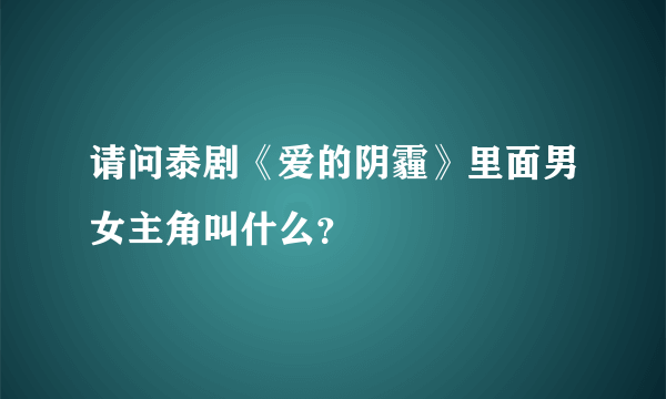 请问泰剧《爱的阴霾》里面男女主角叫什么？