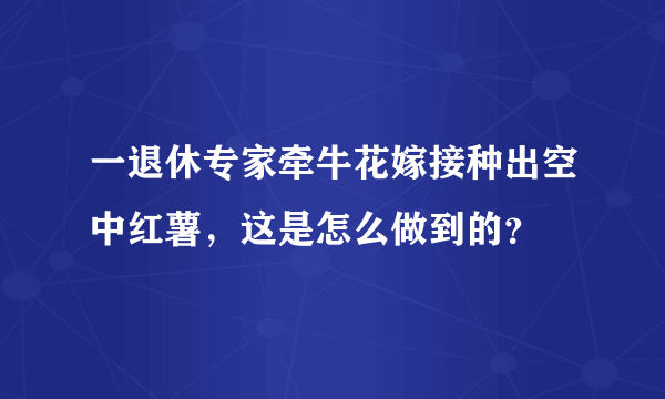 一退休专家牵牛花嫁接种出空中红薯，这是怎么做到的？