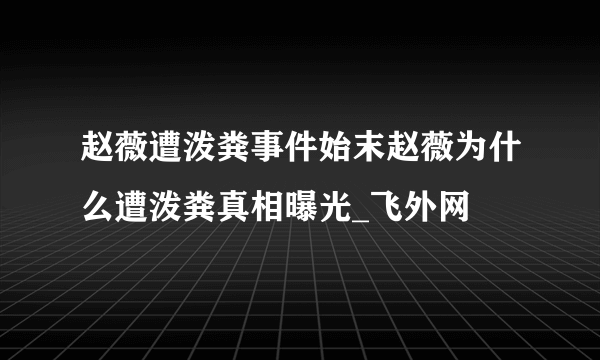 赵薇遭泼粪事件始末赵薇为什么遭泼粪真相曝光_飞外网