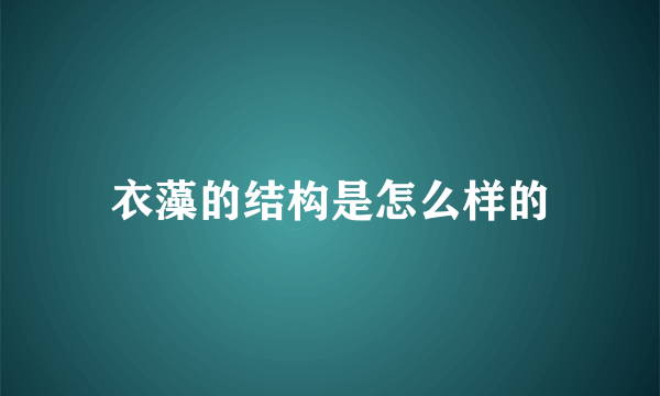 衣藻的结构是怎么样的