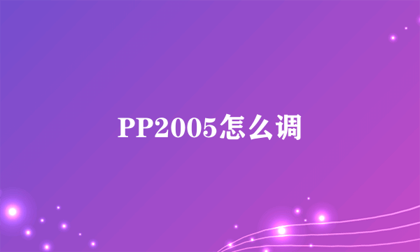 PP2005怎么调