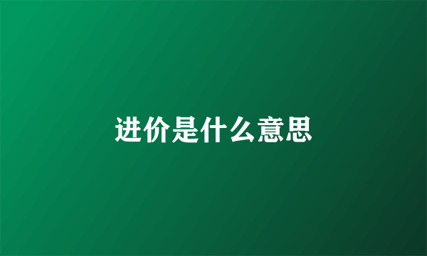 进价是什么意思