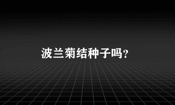 波兰菊结种子吗？