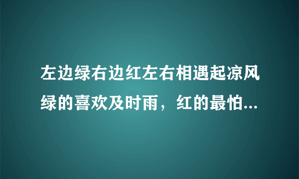 左边绿右边红左右相遇起凉风绿的喜欢及时雨，红的最怕水来攻谜底