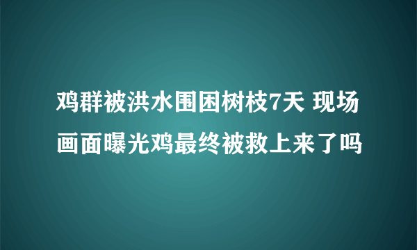 鸡群被洪水围困树枝7天 现场画面曝光鸡最终被救上来了吗