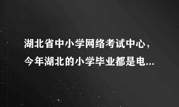 湖北省中小学网络考试中心，今年湖北的小学毕业都是电脑分班吗