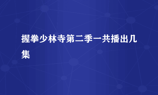 握拳少林寺第二季一共播出几集