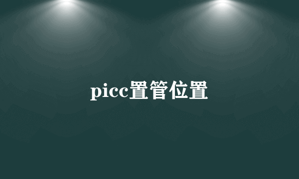 picc置管位置