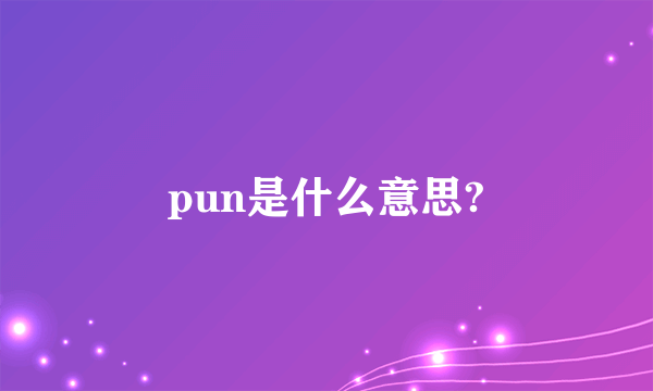 pun是什么意思?