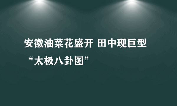 安徽油菜花盛开 田中现巨型“太极八卦图”