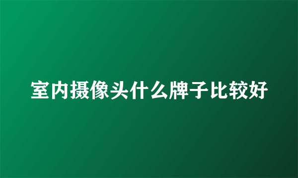 室内摄像头什么牌子比较好