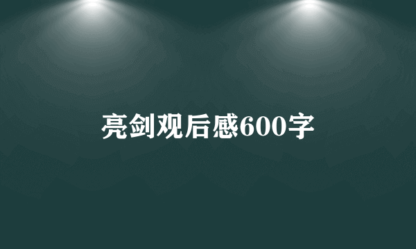 亮剑观后感600字