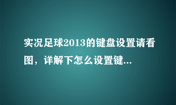 实况足球2013的键盘设置请看图，详解下怎么设置键盘对应按键，谢谢