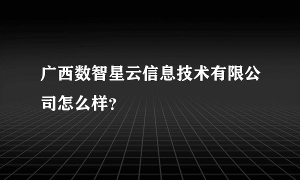 广西数智星云信息技术有限公司怎么样？