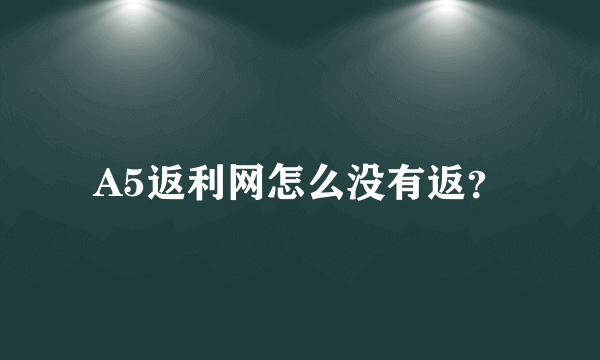 A5返利网怎么没有返？