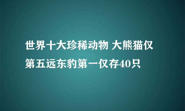 世界十大珍稀动物 大熊猫仅第五远东豹第一仅存40只