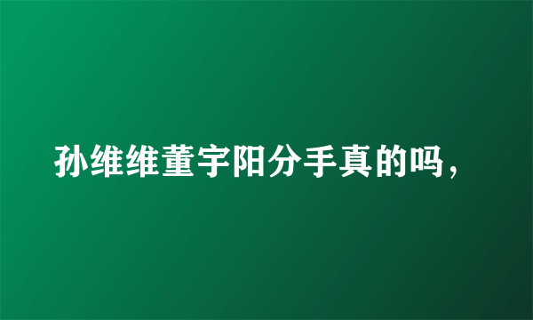 孙维维董宇阳分手真的吗，