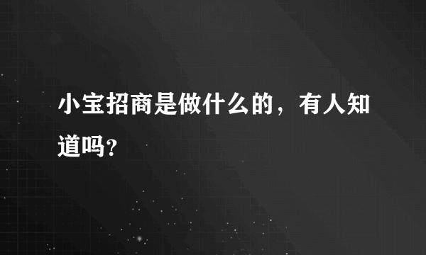 小宝招商是做什么的，有人知道吗？