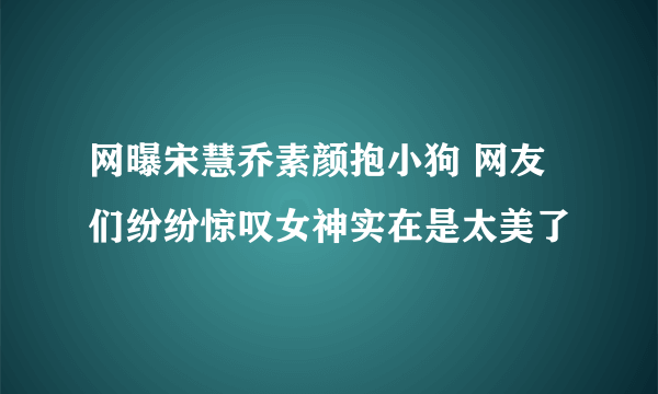 网曝宋慧乔素颜抱小狗 网友们纷纷惊叹女神实在是太美了