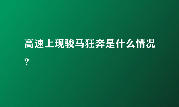 高速上现骏马狂奔是什么情况？