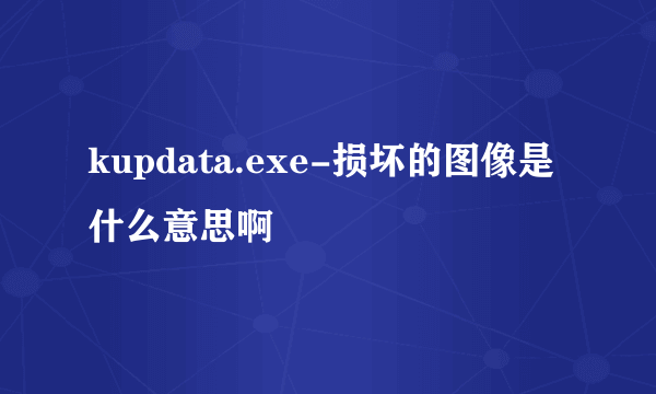 kupdata.exe-损坏的图像是什么意思啊