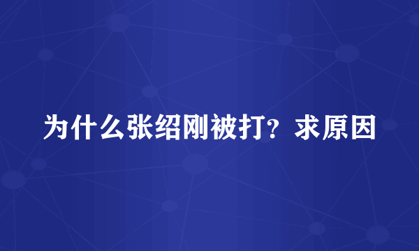 为什么张绍刚被打？求原因