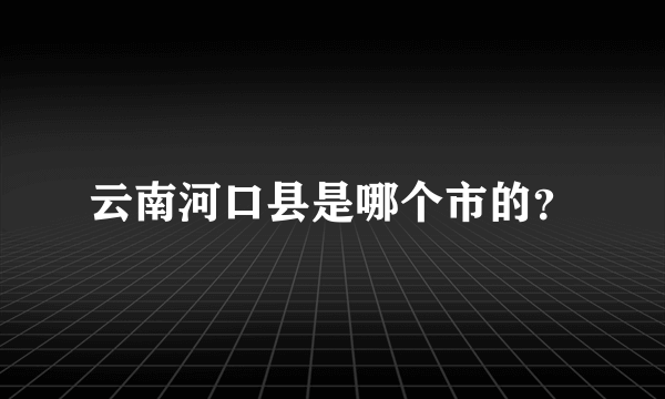 云南河口县是哪个市的？