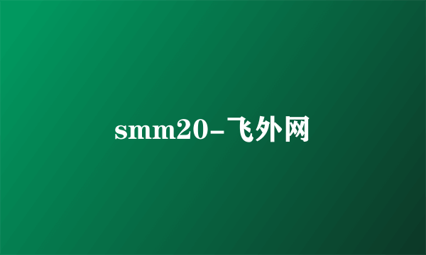 smm20-飞外网